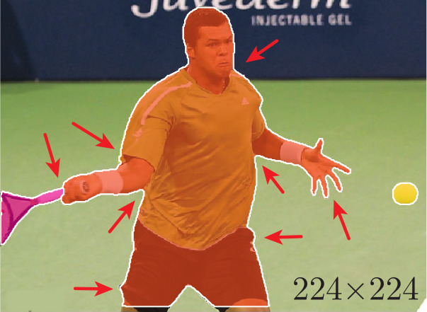 PointRend: Image Segmentation as Rendering
